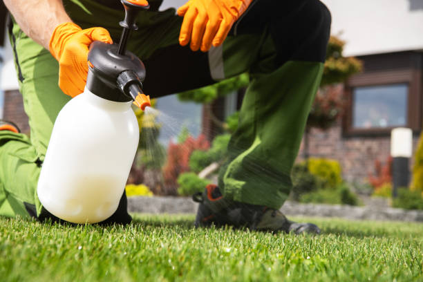 Best Residential Pest Control  in Pearisburg, VA
