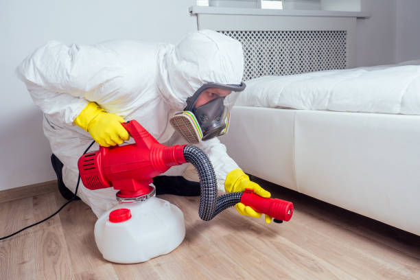 Best Pest Removal Services  in Pearisburg, VA