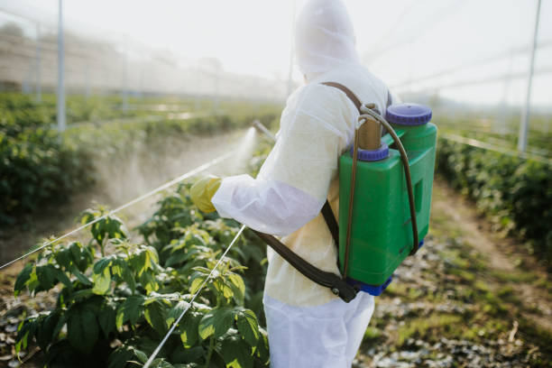 Best Emergency Pest Control  in Pearisburg, VA